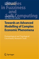 Jaime Gi Aluja, Jaime Gil Aluja, Anna M Gil-Lafuente, Anna M. Gil-Lafuente - Towards an Advanced Modelling of Complex Economic Phenomena