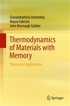 Giovambattist Amendola, Giovambattista Amendola, Maur Fabrizio, Mauro Fabrizio, J Golden, John Murrough Golden - Thermodynamics of Materials with Memory