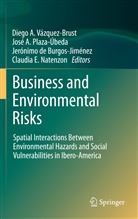 Jos A Plaza-Úbeda, José A Plaza-Úbeda, Jerónimo de Burgos-Jiménez, Jerón de Burgos-Jiménez et al, Claudia E. Natenzon, José A. Plaza-Úbeda... - Business and Environmental Risks
