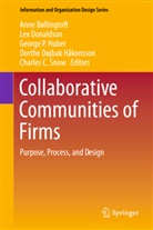 Anne Bøllingtoft, Le Donaldson, Lex Donaldson, Dorthe Døjbak Håkonsson, George P. Huber, George P Huber et al... - Collaborative Communities of Firms