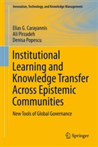 Elias Carayannis, Elias G Carayannis, Elias G. Carayannis, Al Pirzadeh, Ali Pirzadeh, denisa popescu - Institutional Learning and Knowledge Transfer Across Epistemic Communities