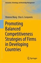 Elias G Carayannis, Elias G. Carayannis, Vivienne W Wang, Vivienne W L Wang - Promoting Balanced Competitiveness Strategies of Firms in Developing Countries