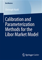 Christoph Hackl - Calibration and Parameterization Methods for the Libor Market Model