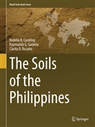 C Bacatio, Clarita D. Bacatio, Rodelio Carating, Rodelio B Carating, Rodelio B. Carating, Raymundo Galanta... - The Soils of the Philippines