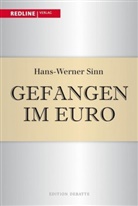 Hans Werner Sinn, Hans-Werner Sinn - Gefangen im Euro
