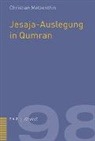 Christian Metzenthin - Jesaja-Auslegung in Qumran