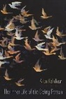 Allan Kellehear, Allan (Professor of Community Health Kellehear, Kellehear Allan - Inner Life of the Dying Person