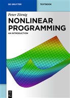 Peter Zörnig - Nonlinear Programming