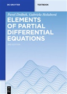 Pave Drábek, Pavel Drábek, Gabriela Holubová - Elements of Partial Differential Equations