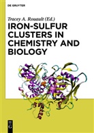 Trace Rouault, Tracey Rouault - Iron-Sulfur Clusters in Chemistry and Biology