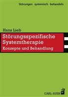 Hans Lieb - Störungsspezifische Systemtherapie