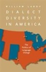 William Labov - Dialect Diversity in America