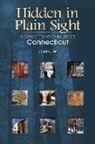 David Leff, David K Leff, David K. Leff - Hidden in Plain Sight