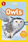 Laura Marsh, Laura F. Marsh - Owls