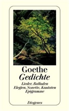 Johann Wolfgang von Goethe - Gedichte. Tl.1