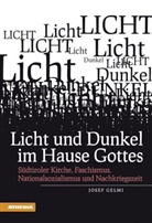 Josef Gelmi - Licht und Dunkel im Hause Gottes