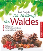 Axel Gutjahr - Die Heilkraft des Waldes