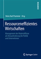 Hein Karl Prammer, Heinz Karl Prammer, Heinz Karl Prammer - Ressourceneffizientes Wirtschaften