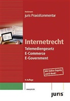 Dir Heckmann, Dirk Heckmann - Internetrecht, Kommentar