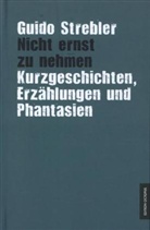 Guido Strebler - Nicht ernst zu nehmen