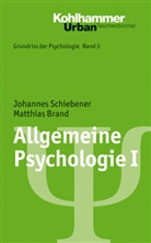 Matthias Brand, Johanne Schiebener, Johannes Schiebener, Bern Leplow, Bernd Leplow, von Salisch... - Allgemeine Psychologie. Bd.1