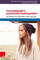 Martin Baierl, Silk Gahleitner, Silke Gahleitner, Silke B. Gahleitner, Silke Birgitta Gahleitner, Hen... - Traumapädagogik in psychosozialen Handlungsfeldern