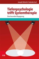 Gabriele Graf, Josep Rieforth, Joseph Rieforth - Tiefenpsychologie trifft Systemtherapie