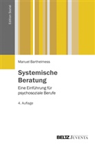 Manuel Barthelmeß - Systemische Beratung