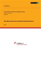 Tim Pfefferle - How Much Power Does the British Parliament Have?