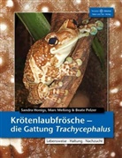 Honig, Sandr Honigs, Sandra Honigs, Messin, Mar Messing, Marc Meßing... - Krötenlaubfrösche - Die Gattung Trachycephalus