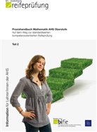 bifie - Praxishandbuch Mathematik AHS Oberstufe Band 2. Tl.2