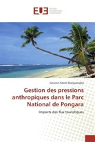 Manguiengha-S, Saturnin Ndotit Manguiengha - Gestion des pressions