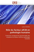 Laetitia HORZINSKI, Horzinski-L - Role du facteur eif2b en
