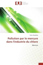 Sonia Boudelaa, Boudelaa-S - Pollution par le mercure dans l