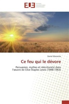 Daniel Warzecha, Warzecha-D - Ce feu qui le devore