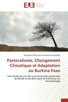 Razingrim Arthur Jean Emmanuel Ouedraogo, Ouedraogo-r - Pastoralisme, changement