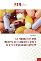 Cédric Briend, Briend-C - La reparation des dommages