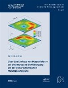 Gerd Mutschke - Über den Einfluss von Magnetfeldern auf Strömung und Stoffübergang bei der elektrochemischen Metallabscheidung