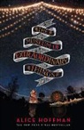 Alice Hoffman - The Museum of Extraordinary Things