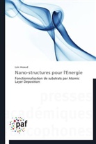 Loïc Assaud, Assaud-l - Nano-structures pour l energie