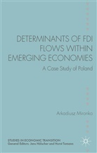 A Mironko, A. Mironko, Arkadiusz Mironko - Determinants of Fdi Flows Within Emerging Economies