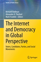 Mark Franklin, Bernard Grofman, Alexande H Trechsel, Alexander H Trechsel, Alexander H. Trechsel - The Internet and Democracy in Global Perspective