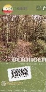 Beringen 1 : 25 000