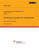 Benjamin Wilden - Realisierung einer organischen bzw. Farbstoffsolarzelle