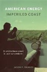 Jason P Theriot, Jason P. Theriot - American Energy, Imperiled Coast
