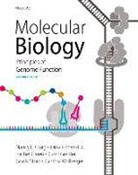 Orna Cohen-Fix, Orna (Bethesda Cohen-Fix, Nancy Craig, Nancy (Professor Craig, Nancy Green Craig, Rachel Green... - Molecular Biology