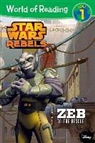 Disney Book Group, Disney Book Group (COR), Kay Michaels, Michael Siglain, Michael Singer - Zeb to the Rescue