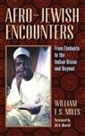William F. S. Miles - Afro-Jewish Encounters