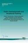 Costanza Biavaschi, Werner Eichhorst, Klaus F. Zimmermann - Youth Unemployment and Vocational Training