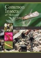 Carolyn Mallory - Common Insects of Nunavut